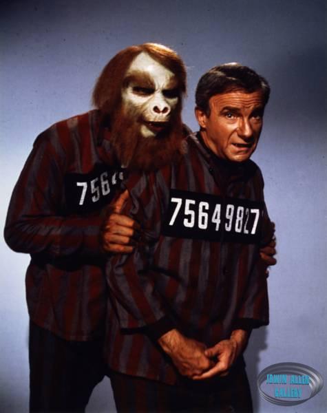 Jonathan Harris