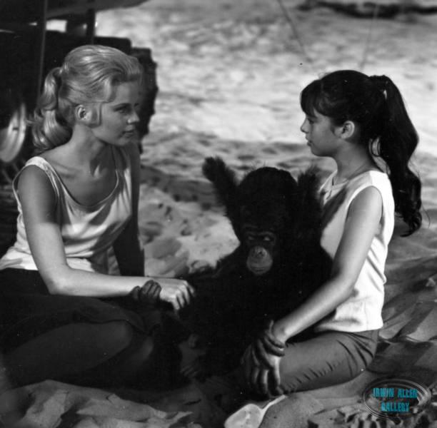 Marta Kristen, Bloop and Angela Cartwright