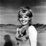 Marta Kristen