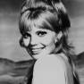 Marta Kristen