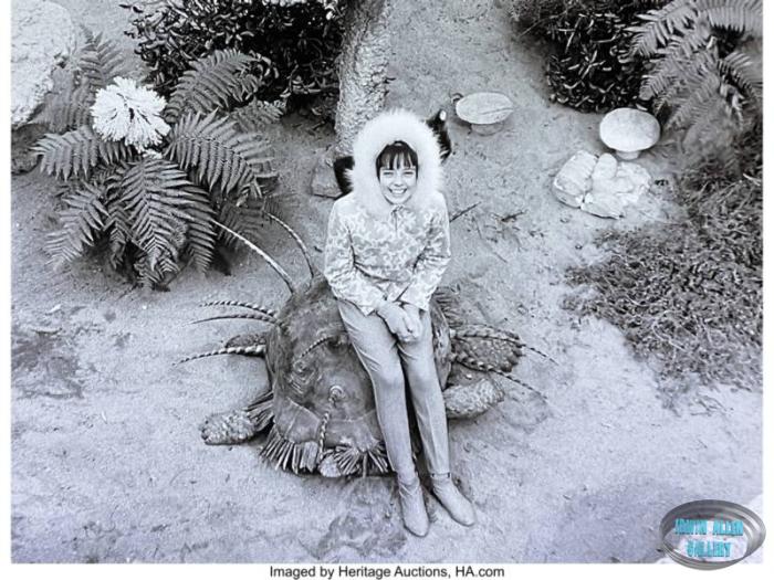 Penny Robinson Priplanian Turtle