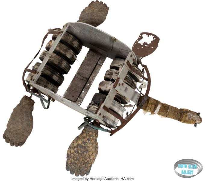 Penny Robinson Priplanian Turtle