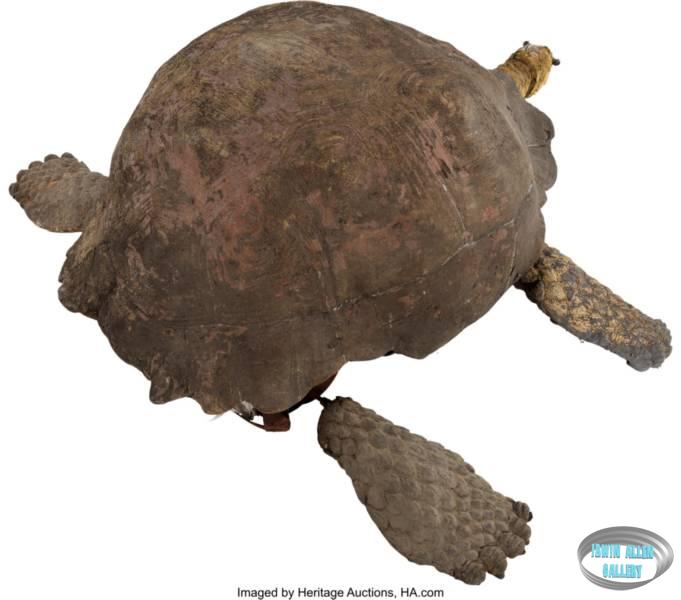 Penny Robinson Priplanian Turtle