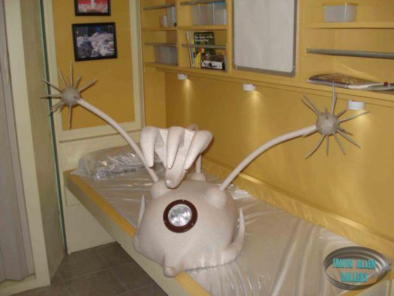 Tauron Crab Resting in Stateroom