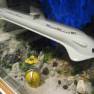 Voyage to the Bottom of the Sea Diorama