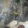 Voyage to the Bottom of the Sea Diorama