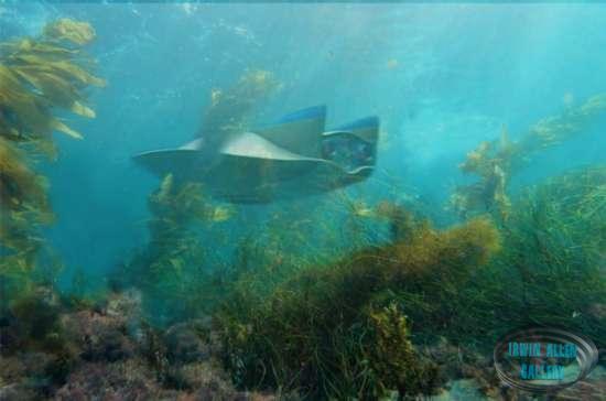 Flying Sub under water
