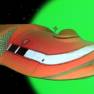 Paper Spindrift Approaches Green Planet
