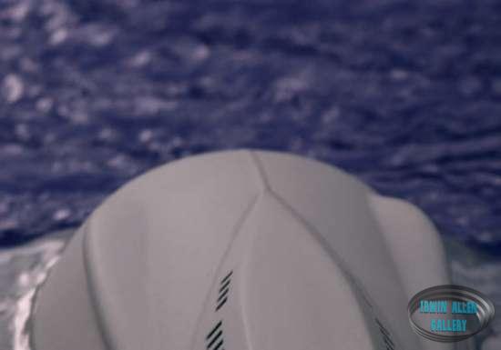 Seaview Model Effects