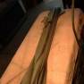 24 inch Seaview restoration project
