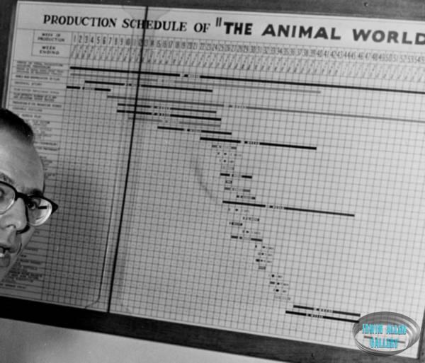 Production Schedule