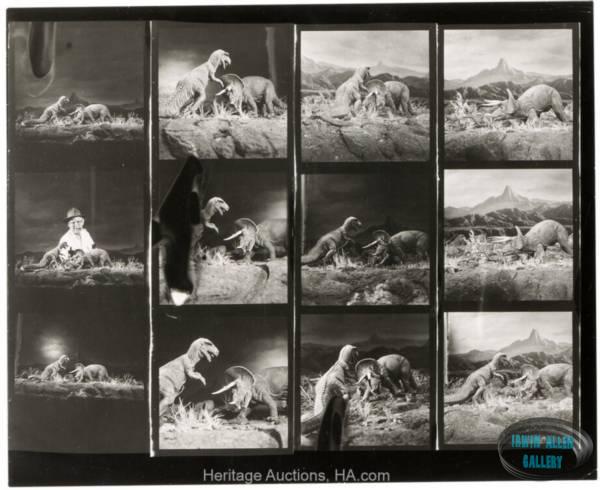 Animal World Contact Sheet
