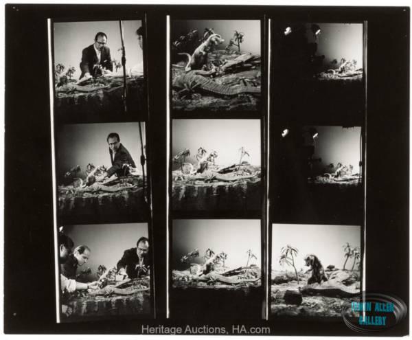 Animal World Contact Sheet