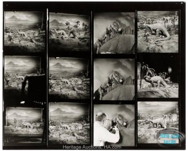 Animal World Contact Sheet