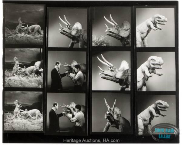 Animal World Contact Sheet