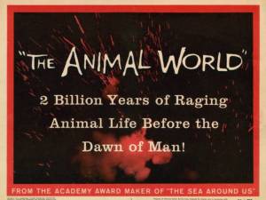 Animal World