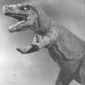 Animal World Dinosaur