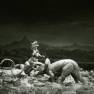 Animal World Battle