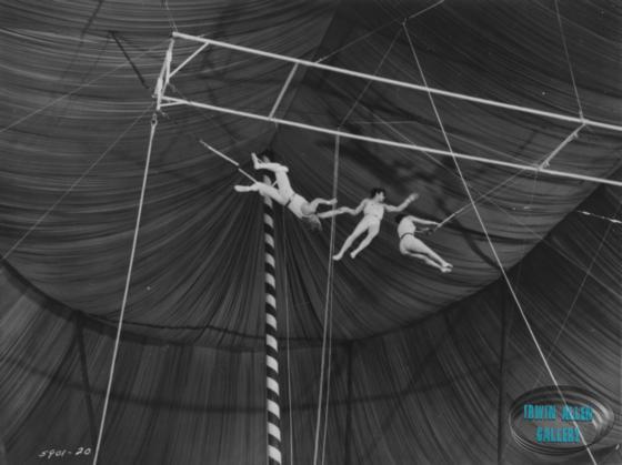The Flying Trapeze
