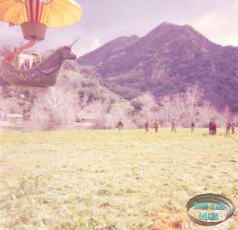 The balloon lands