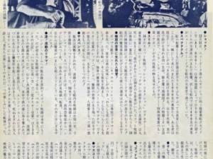 Japanese Flyer