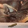 Spanish Lobby Card