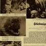 German Sea Around Us Booklet
