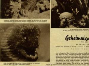 German Booklet