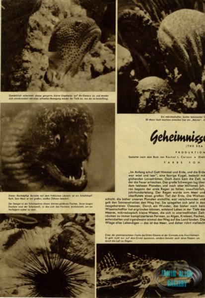 German Sea Around Us Booklet