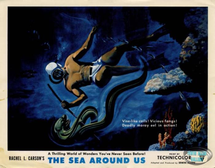 The Sea Around Us Lobby Card