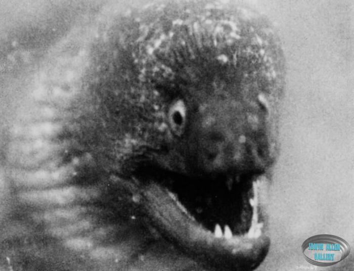 Movie still from The Sea Around Us