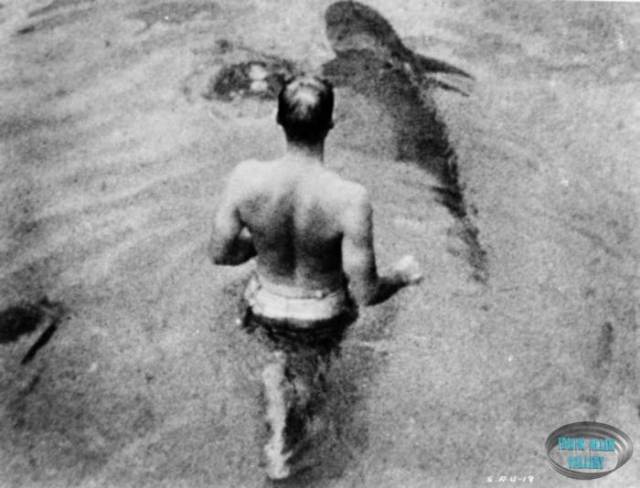 Movie still from The Sea Around Us