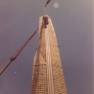 Working at Top of 70 Foot Tower Miniature