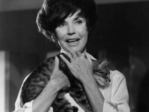 Publicity Portraits
