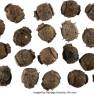 Collection of Miniature Mines
