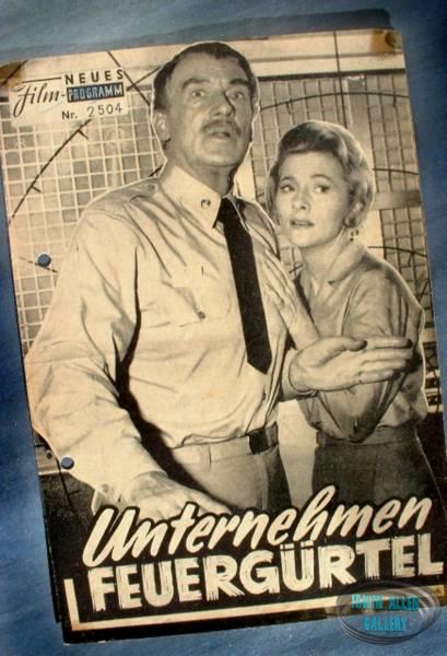 German Cinema Programme