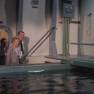 Undersea Aquarium