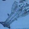 Voyage to the Bottom of the Sea Drawing