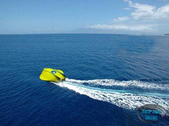The Flying Sub