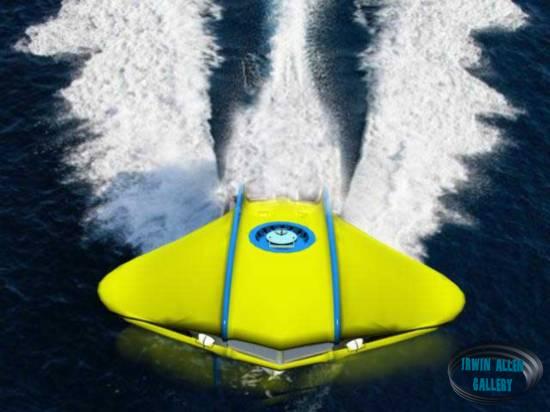 The Flying Sub