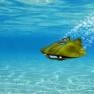 The Flying Sub
