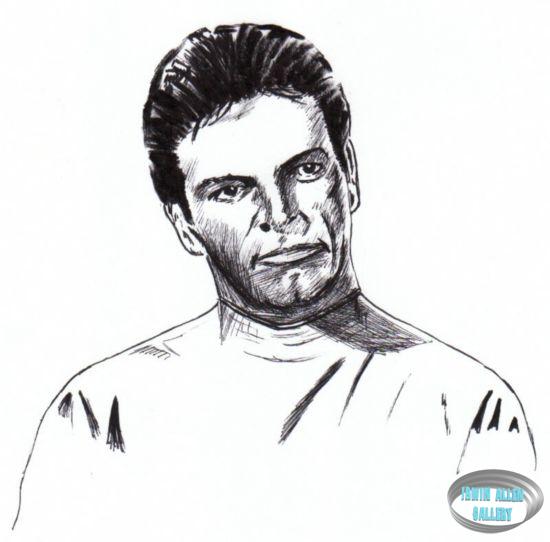 Gary Conway as Captain Steve Burton