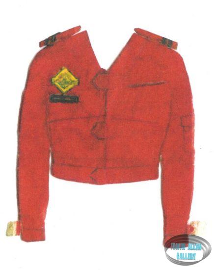 Steve Jacket