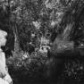 Alice meets the Owl (Jack Warden)