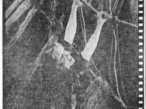 Clippings