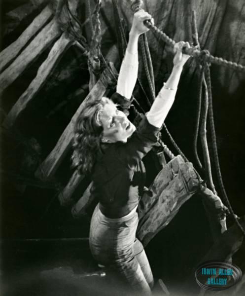 Susan Sullivan hanging on to collapsed bridge