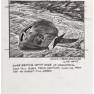 City Beneath the Sea Storyboards