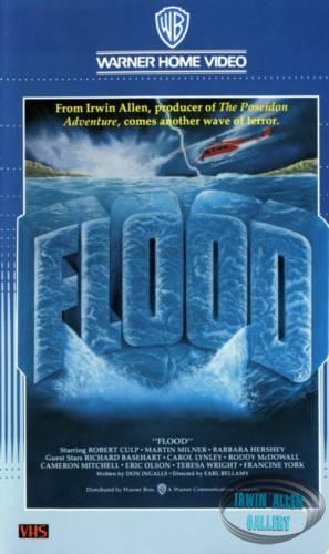Flood Video Cover
