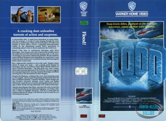 Flood Video Cover