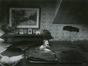 Photos